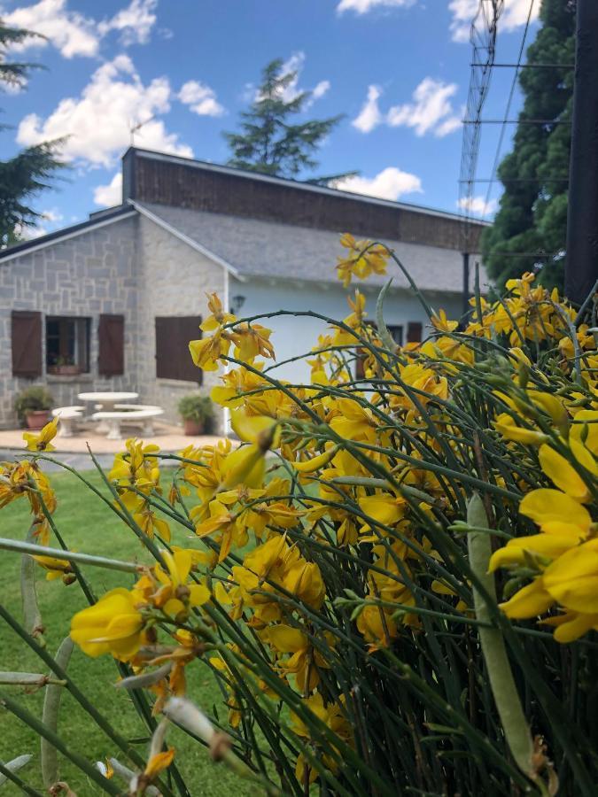 Villa Aurelia - Casa De Campo Con Jardin Y Piscina Entre Madrid Y Segovia Ортигоса-дель-Монте Экстерьер фото